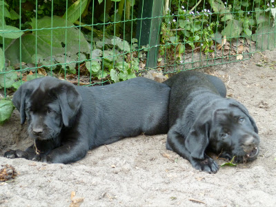 Foto bij Zand erover!