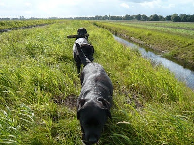 Foto bij Sunny sunday morning walk