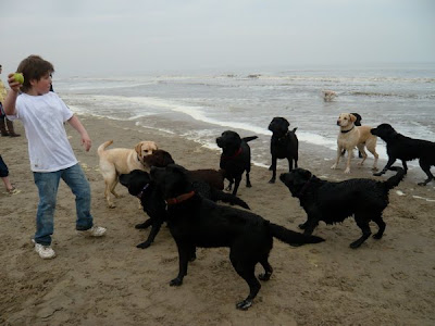 Foto bij Noordwijk aan ZEEEEEEEEEEEEEEEEEEEEEEEEEE!