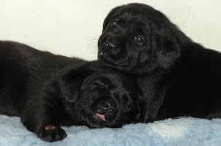 Foto bij Playtime!