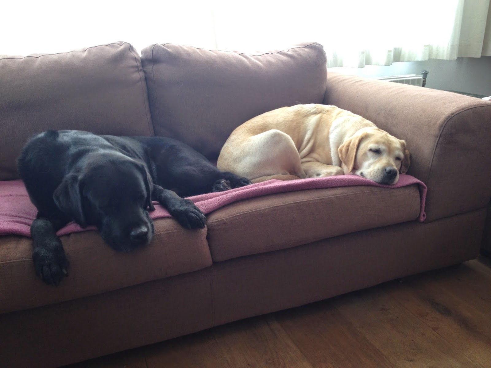 Foto bij Cosy Couching