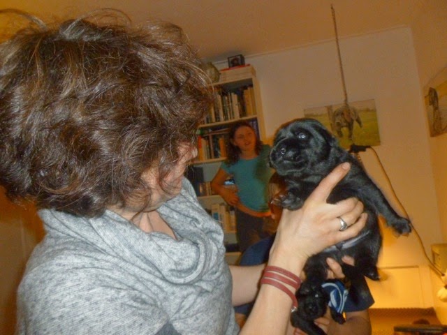 Foto bij Pupdate