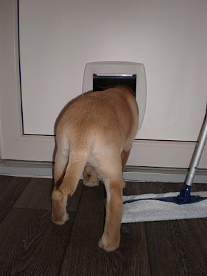 Foto bij Wat een plaaaatjes!...