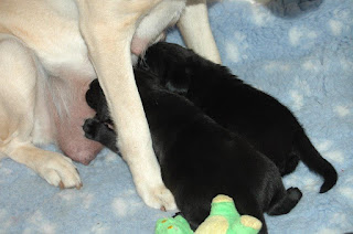 Foto bij Playtime!