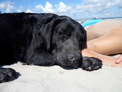 Foto bij Een dagje naar het strand