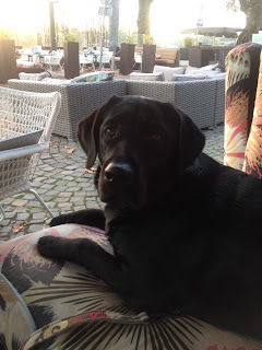 Foto bij Wij zijn al TWEE!!!!