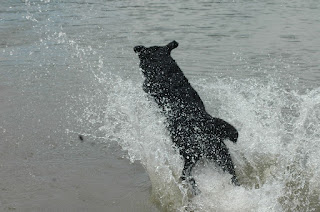 Foto bij Haa-Twee-Oo (H2O)