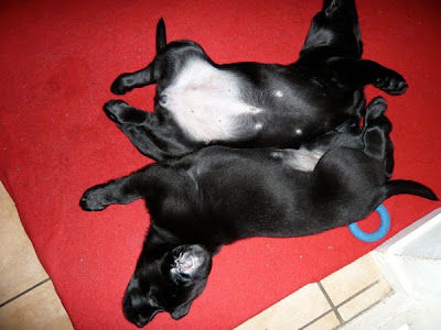 Foto bij ff Chillen...