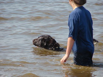 Foto bij Jaarlijkse Stranddag
