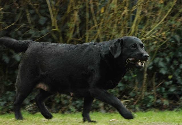 Foto bij Hormoon Huishouding