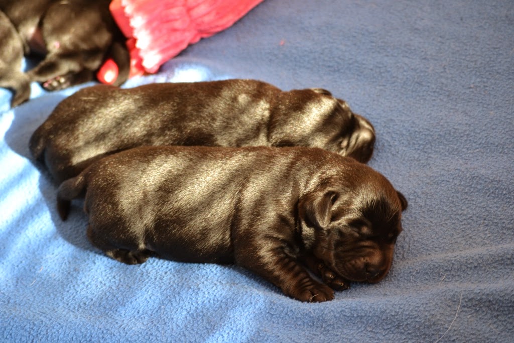 Foto bij Baguette et ses six petits pains