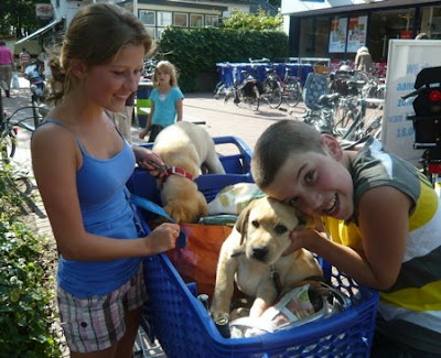 Foto bij String is in the air!