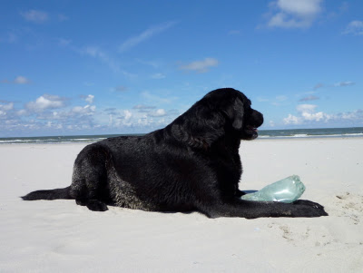Foto bij Een dagje naar het strand