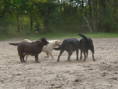 Foto bij Change of Direction...