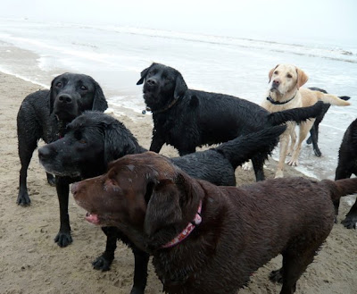Foto bij Noordwijk aan ZEEEEEEEEEEEEEEEEEEEEEEEEEE!