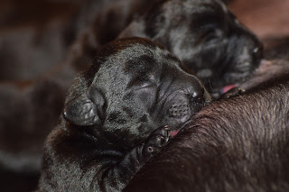 Foto bij Wishstone's Baby Boom!