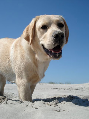 Foto bij 1e verjaardag van het B-nest!