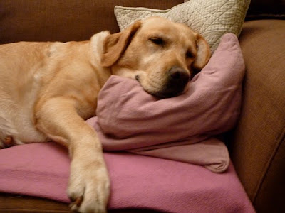 Foto bij Relaxzzzz...