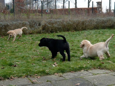 Foto bij Bijna voorbij...