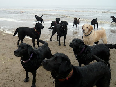 Foto bij Noordwijk aan ZEEEEEEEEEEEEEEEEEEEEEEEEEE!