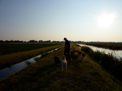 Foto bij Tropen Rooster