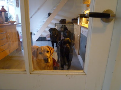Foto bij Coup de Coeur: Rosie's C-nest