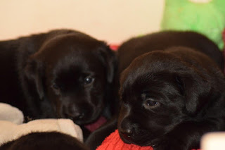 Foto bij Playtime!