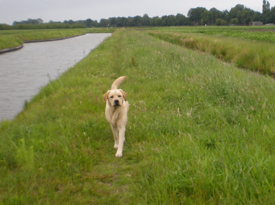 Foto bij Quality time met Family&Friends
