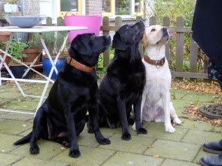 Foto bij Rosie Nosy