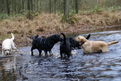 Foto bij U-nest Uitje!