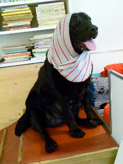Foto bij Chapeau voor Cato!