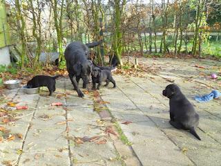 Foto bij LOVE unlimited