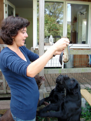 Foto bij Over appels en egels