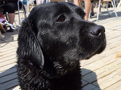 Foto bij Jaarlijkse Stranddag