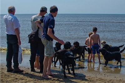 Foto bij Jaarlijkse Stranddag