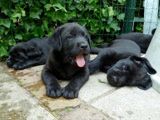 Foto bij Allemaal de liefste!