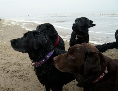 Foto bij Noordwijk aan ZEEEEEEEEEEEEEEEEEEEEEEEEEE!