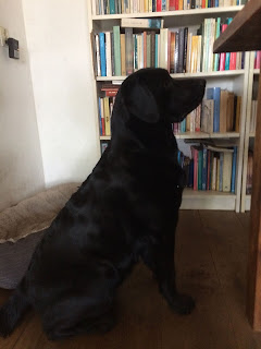 Foto bij Dubbel Dik