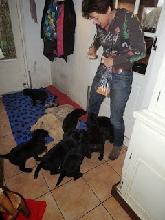 Foto bij Kiss & Ride