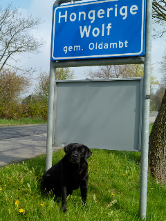 Foto bij Hongerige Wolf