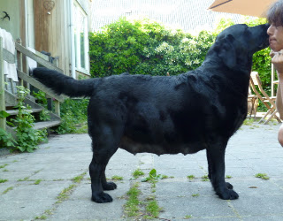 Foto bij Chapeau voor Cato!