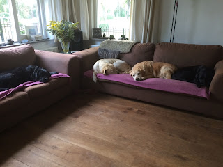 Foto bij Haa-Twee-Oo (H2O)