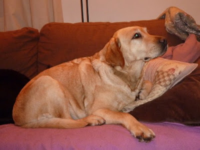 Foto bij JanetSailor-blend 2 jaar!
