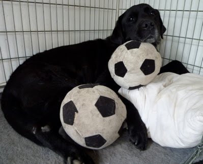Foto bij Voetballuh!
