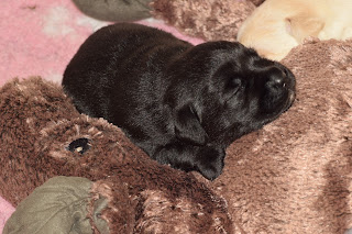 Foto bij Kleine Keetjes