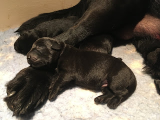 Foto bij Sophie pakt uit!