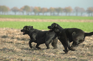 Foto bij Gewoon Bijzonder