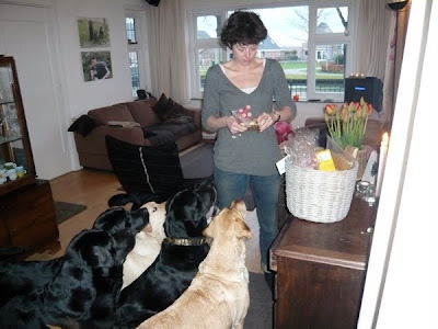 Foto bij De Paasmand