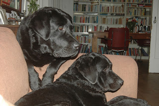 Foto bij Moeders en dochters