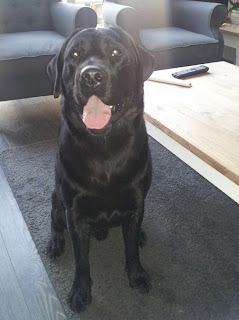 Foto bij 1 op 11/11!